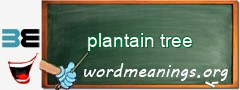 WordMeaning blackboard for plantain tree